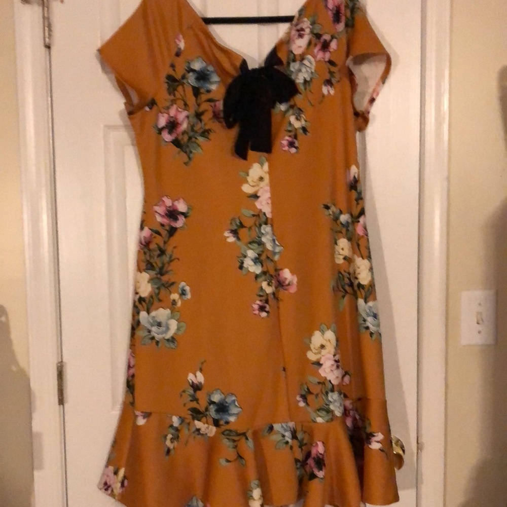 Beautiful 3X Paperdoll Dress